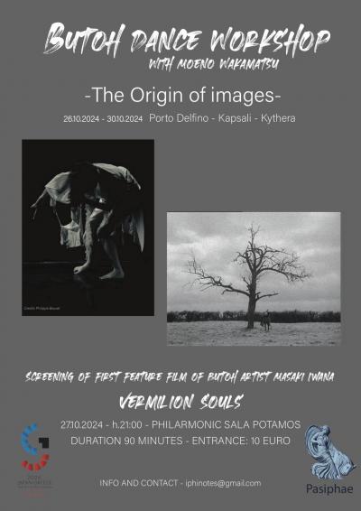 The Origin of Images -- poster or photo